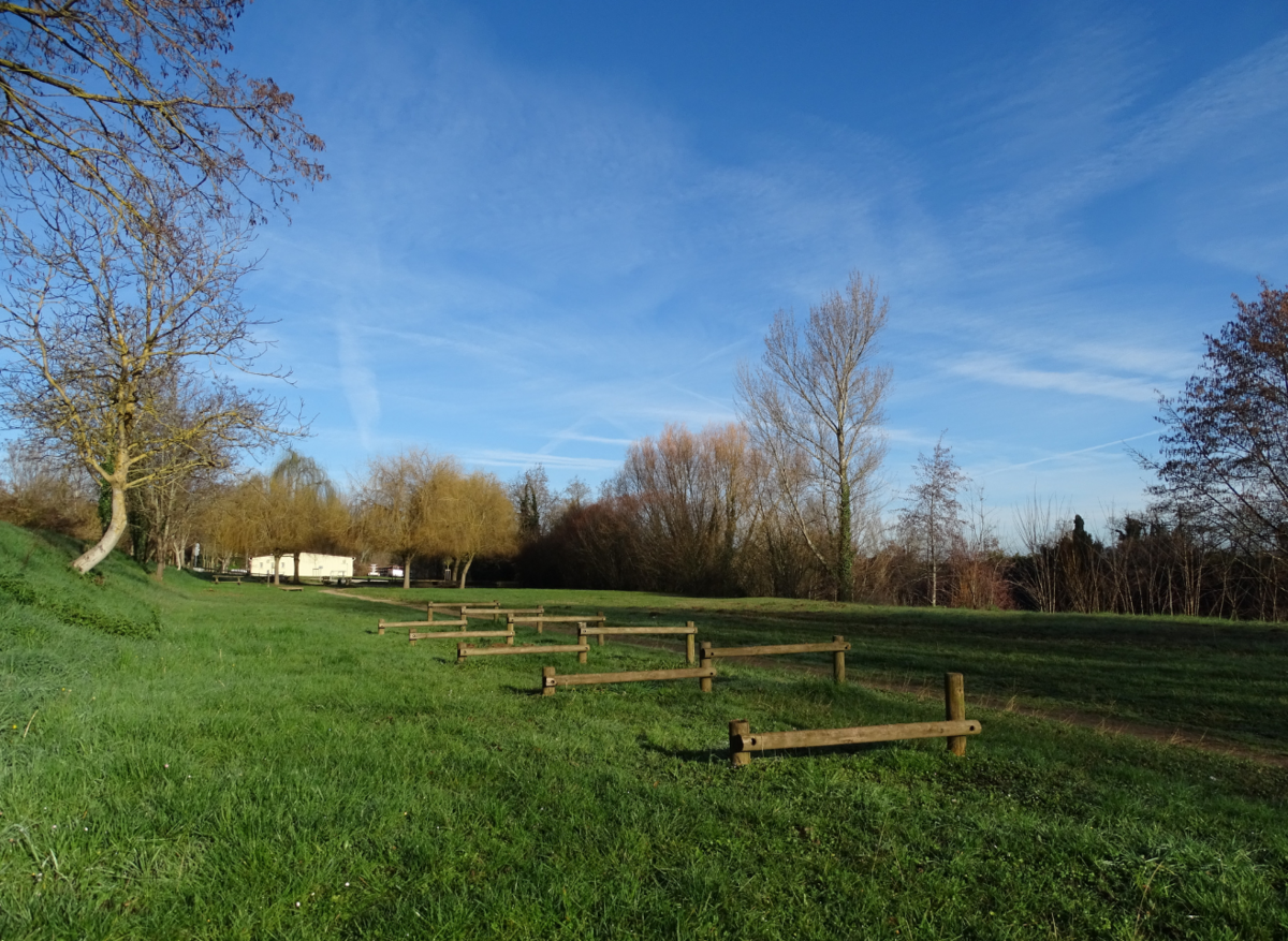 Parcours sportif en bois dans parc arboré