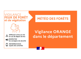 Vigilance orange météo des forêts