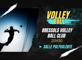 Visuel volley ball