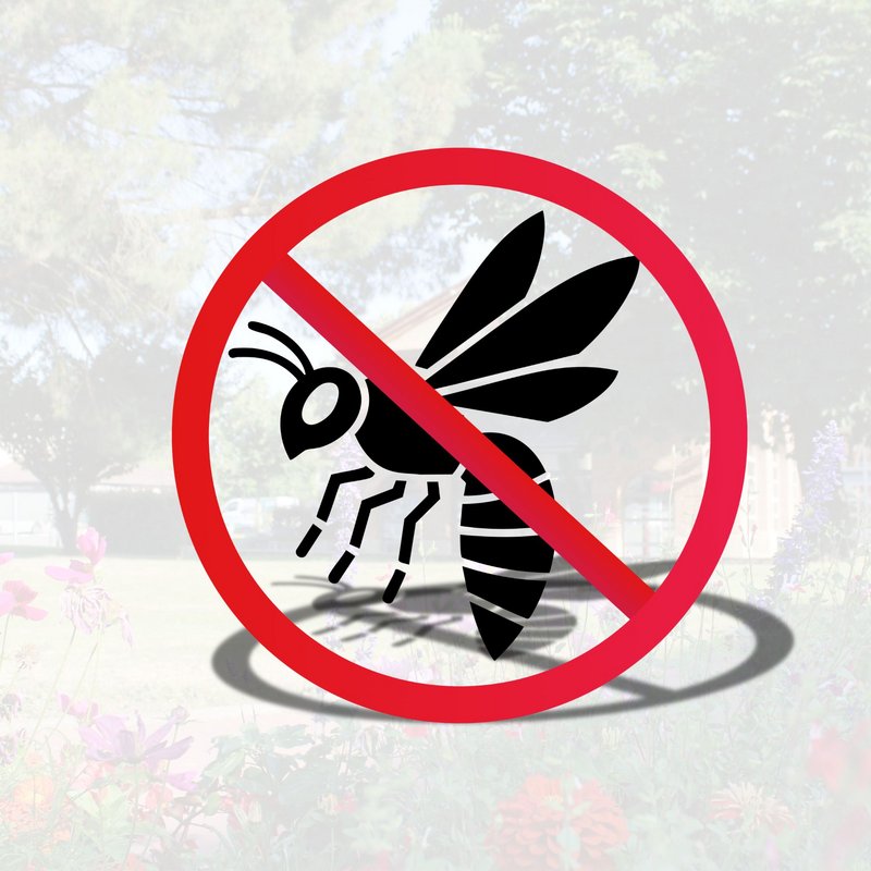 STOP NUISIBLES OCCITANIE TERMITES HUMIDITE