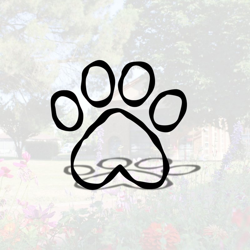 PLOUF LE CHIEN - Salon de toilettage