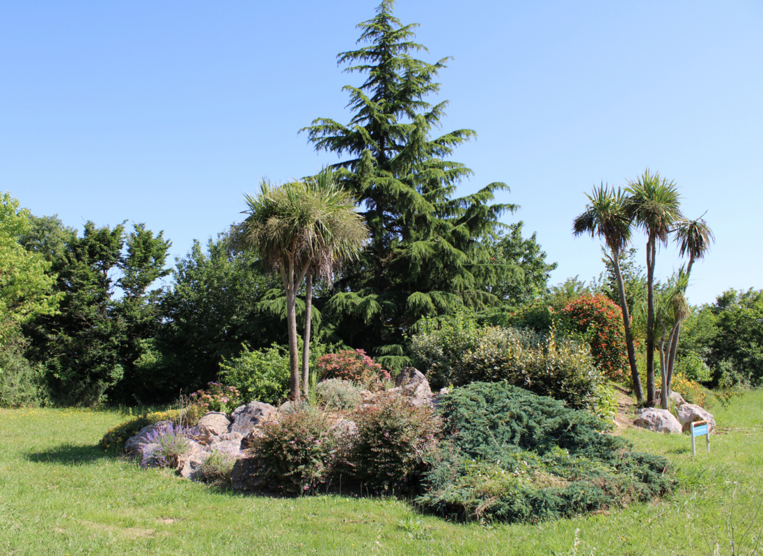 Massif d'arbres et de fleurs